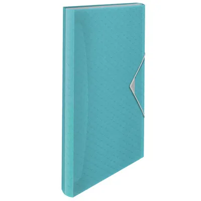 Teczka rozszerzana a4 ESSELTE colour'breeze 626252 niebieski 6 przegródek