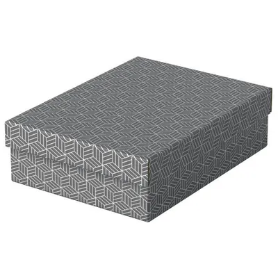 Pudło archiwizacyjne 265x100x360mm ESSELTE 628285 szary 3szt