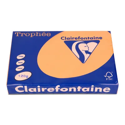 Papier ksero kolor a4 TROPHEE mandarynkowy 120g 250 ark