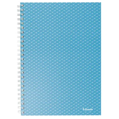 Kołonotatnik a5 ESSELTE colour'breeze 628466 niebieski w kratkę 80kart