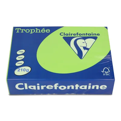 Papier ksero kolor a4 TROPHEE miętowy 210g 250 ark