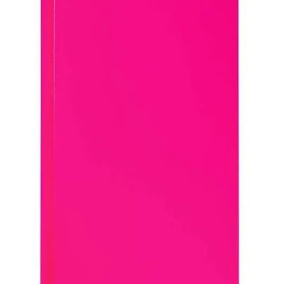 Teczka z rzepem VAUPE caribic 343/11 różowa pp 2mm 20mm