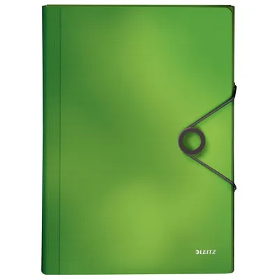 Teczka segregująca a4 LEITZ solid 45791050 jasnozielony 6 przegródek