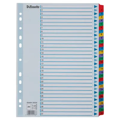 Przekładki 1-31 a4 ESSELTE mylar 100164 mix karton 160g