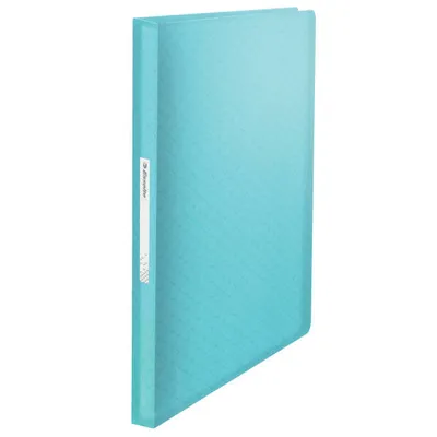 Album ofertowy a4 ESSELTE colour'breeze 626237 niebieski plastik 80 koszulek