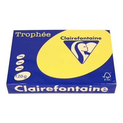Papier ksero kolor a4 TROPHEE słoneczny 120g 250 ark