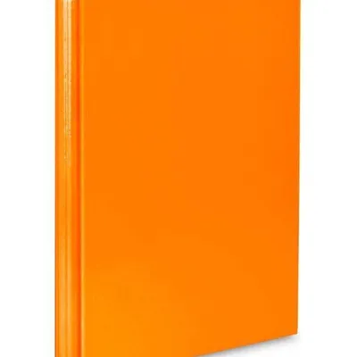 Teczka z rzepem VAUPE caribic 340/16 pomarańczowa pp 2mm 40mm