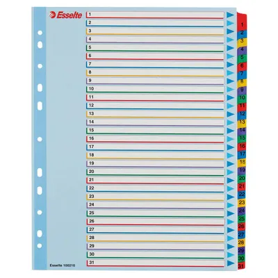 Przekładki 1-31 a4 maxi ESSELTE 100210 mix