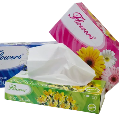 Chusteczki uniwersalne dwuwarstwowe flowers exclusive flex2w100 białe 100 listków