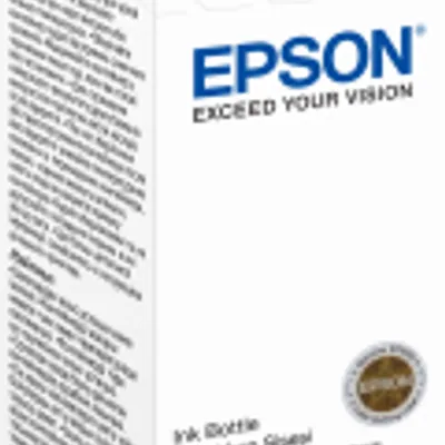 Tusz oryginalny EPSON t67314a c13t67314a czarny 70 ml