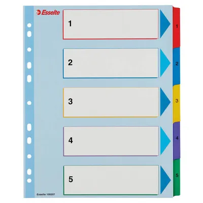 Przekładki 1-5 a4 maxi ESSELTE 100207 mix