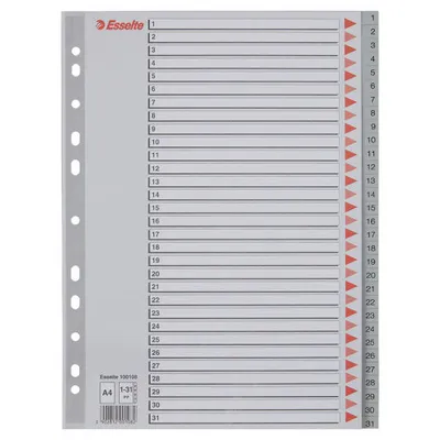 Przekładki 1-31 a4 ESSELTE 100108 szary pp