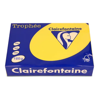 Papier ksero kolor a4 TROPHEE xca41053 słonecznikowy 160g 250 ark