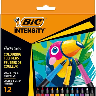 Flamastry BIC intensity premium 977891 mix*12