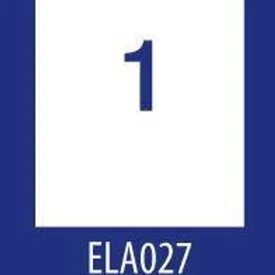 Etykiety samoprzylepne 210x297mm uniwersalne economy ela027 białe 100ark*1szt
