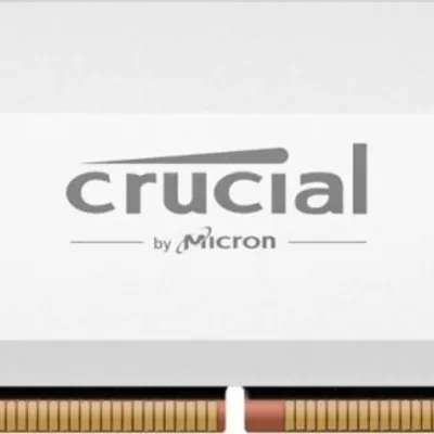 Crucial pamięć ddr5 pro oc 32/6400(1*32gb) cl40 biała