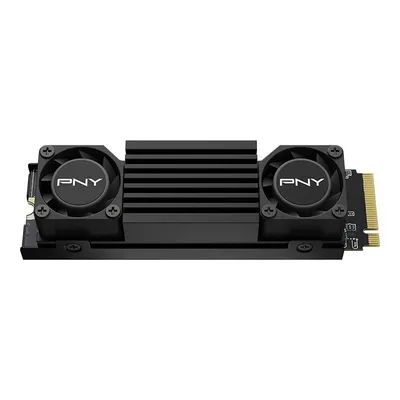 Pny dysk ssd 1tb m.2 2280 cs3150 m280cs3150hs-1tb-rb black heatsink