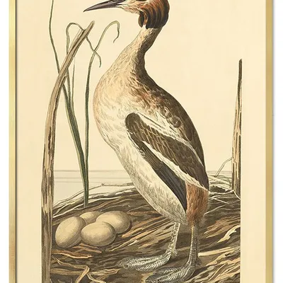 Obraz - ptaki - 53x73cm - g114948