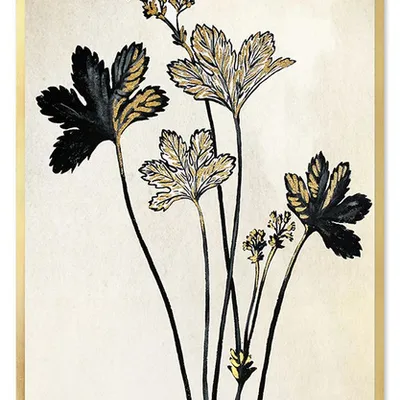 Obraz - motywy roślinne - 63x93cm - g107189