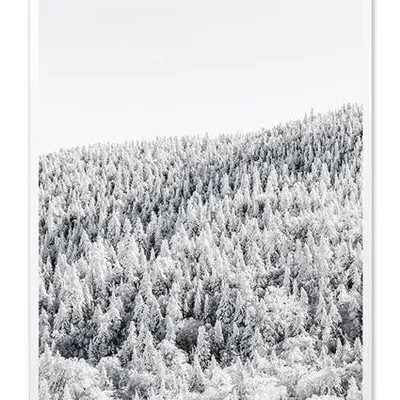 Obraz drukowany - pejzaże - 63x93 cm - g107793