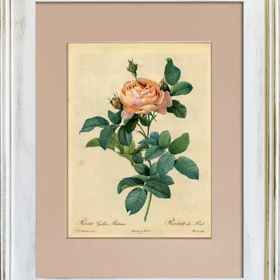 Obraz - inne - 39x49cm - g93323