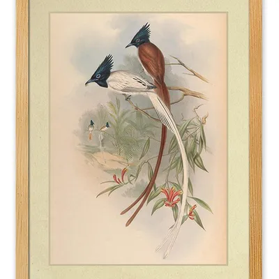 Obraz - ptaki - 33x43cm - g114917