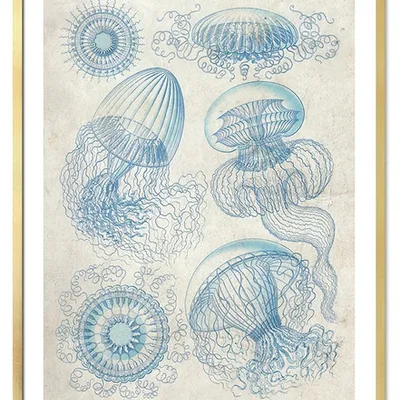 Obraz - inne - 53x73cm - g113077