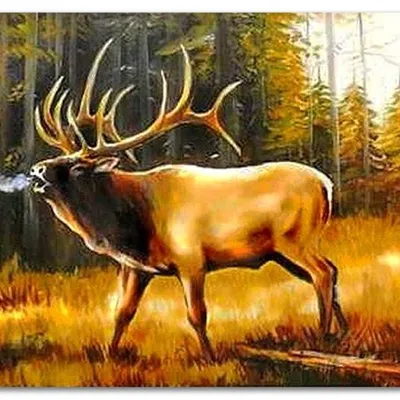 Obraz olejny - pejzaże - 60x90 cm - g119348