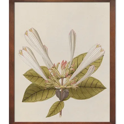 Obraz - inne - 43x53cm - g115587