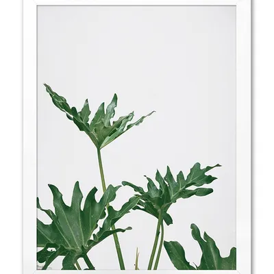 Obraz - tropikalne liście i kwiaty - 33x43cm - g104433