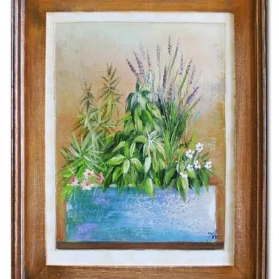 Lawenda - balkonowa lawenda - 40x50 cm - g06522