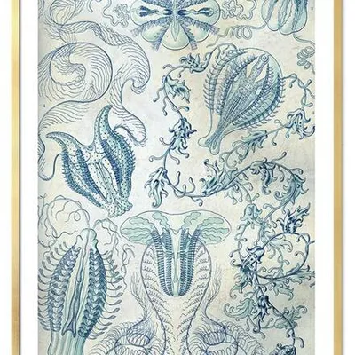 Obraz drukowany - zwierzęta - 53x73 cm - g113074