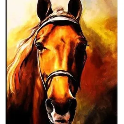Obraz - konie - 50x70cm - g02115