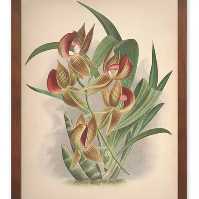 Obraz - tropikalne liście i kwiaty - 33x43cm - g115585
