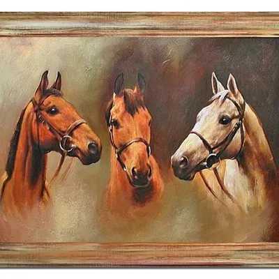 Zwierzęta - trzy młode konie - 63x84 cm - g04373