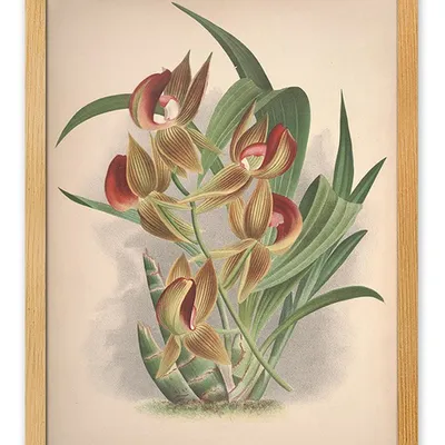 Obraz - inne - 33x43cm - g114906