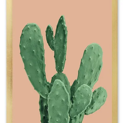 Obraz - kaktusy - 33x43cm - g106638