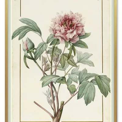 Obraz - inne - 53x73cm - g100529