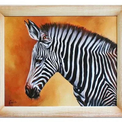 Zwierzęta - zebra - 53x64 cm - g03187