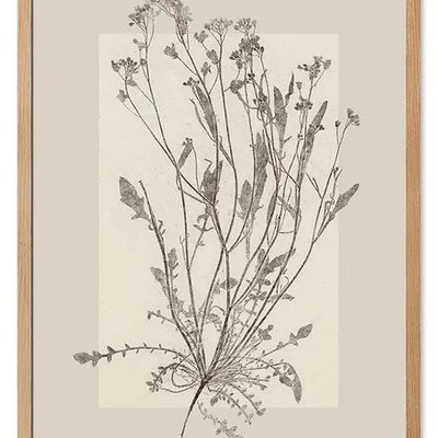 Obraz - inne - 53x73cm - g115748