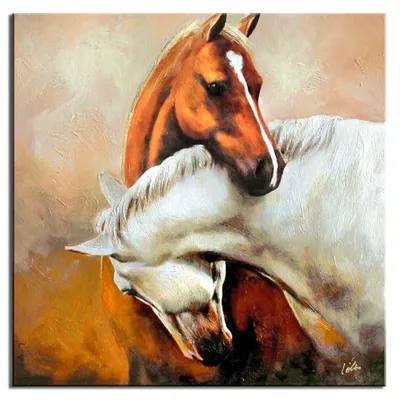 Obraz - konie - 90x90cm - g04203