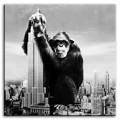 Na wesoło - king kong - 80x80 cm - g93200