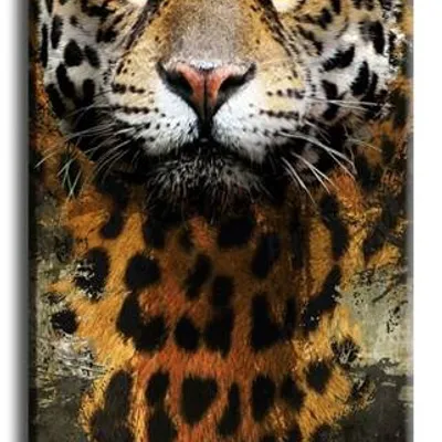 Wild nature - ścigająca wiatr - 90x45 cm - g93243