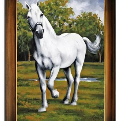 Obraz olejny - zwierzęta - 75x105 cm - g107238