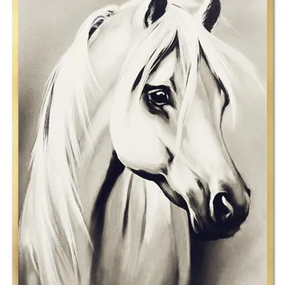 Obraz - konie - 53x73cm - g106354