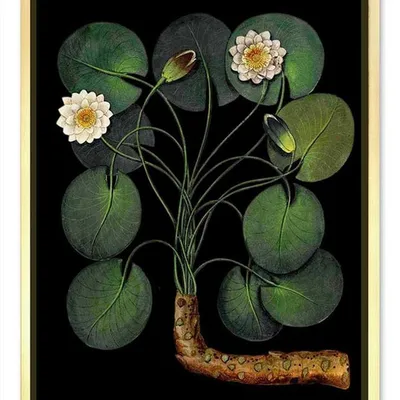 Obraz - tropikalne liście i kwiaty - 43x53cm - g105931