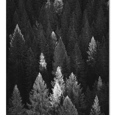 Obraz drukowany - pejzaże - 60x90 cm - g107929