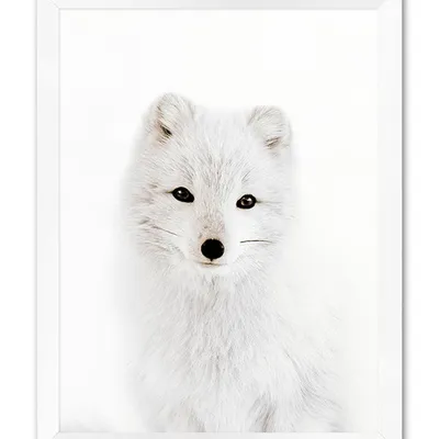 Obraz - inne - 33x43cm - g107752