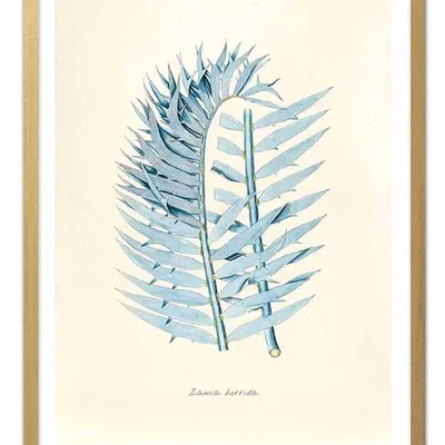 Obraz - tropikalne liście i kwiaty - 33x43cm - g102583