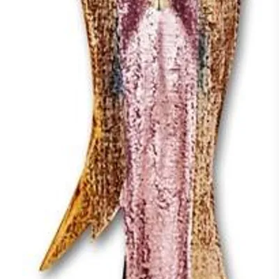 Aniołki - perłowy stróż - 74x20 cm - g02646
